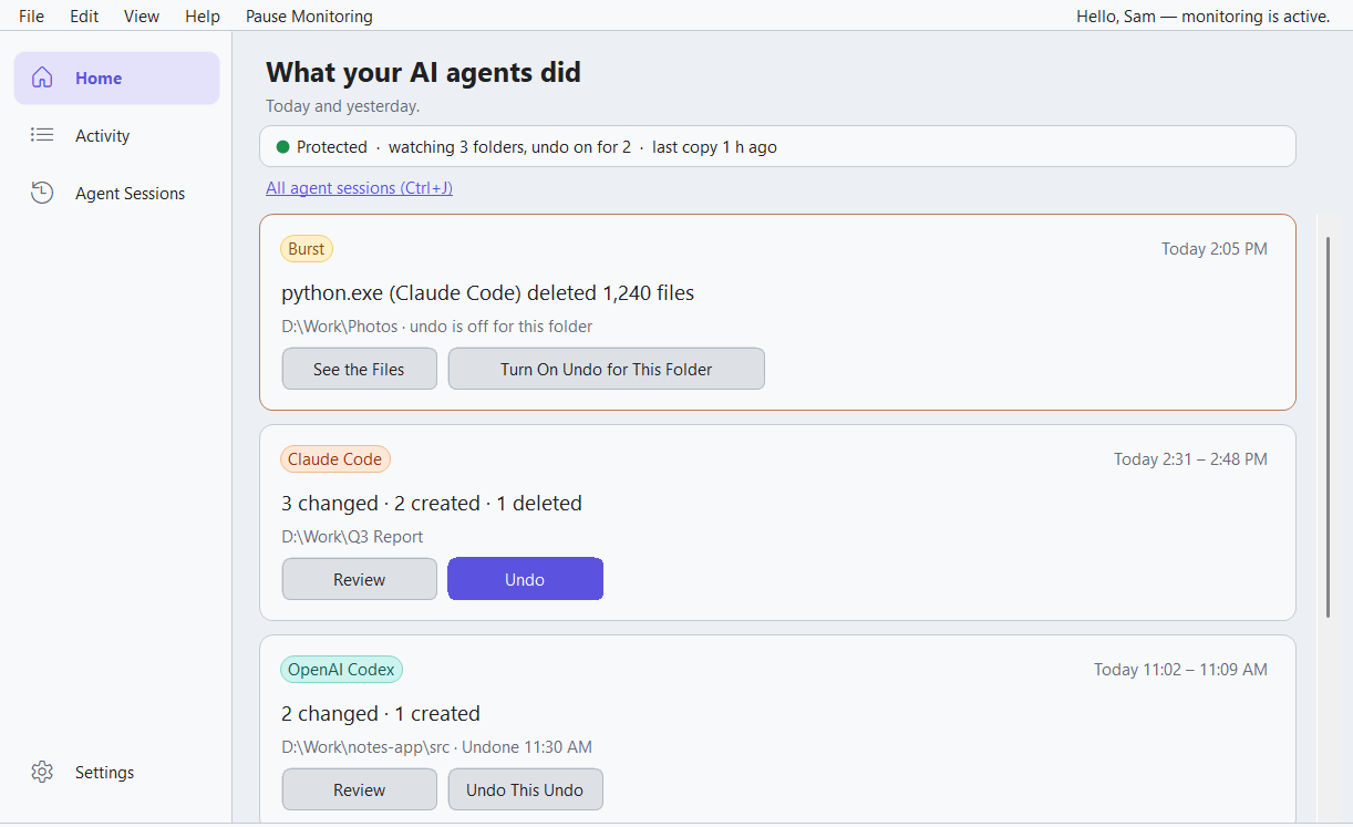 FileSquirrelAI's Home: a Protected status line, a burst alert, and cards for a Claude Code and an OpenAI Codex session, each with Review and Undo